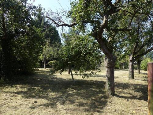 Grundstück/Pachtland - 