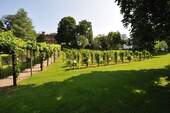 Colombi-Park - 