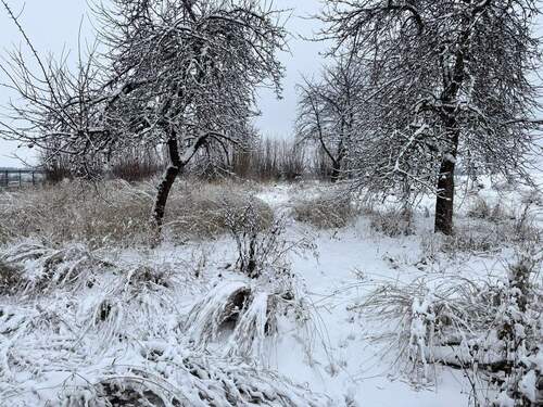 Ansicht Grundstück B.1 - 