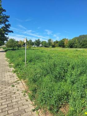Blick in Richtung Otto-von-Guericke-Straße - Großzügiges Grundstück zur gewerblichen Nutzung!