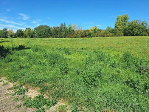 Blick über das Grundstück - Grundstück zum Kaufen in Gera