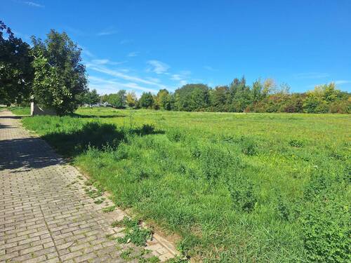 Blick über das Grundstück - 