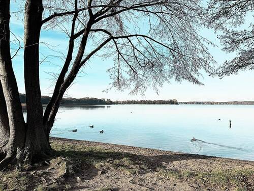 41-2.jpg - Grundstück zum Kaufen in Wandlitz