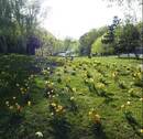 Volkspark Wilmersdorf - 