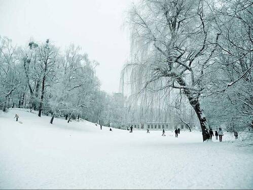 Volkspark Wilmersdorf - 