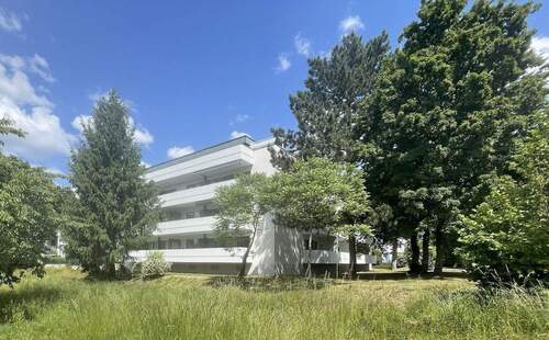 Bild 3 - 3 Zimmer Etagenwohnung in Bühl