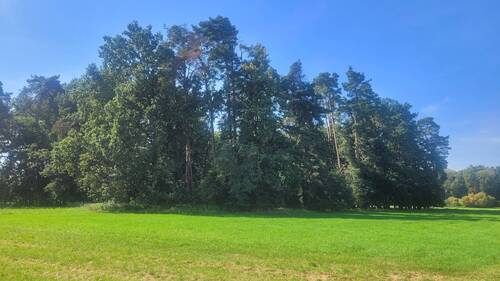 Beispielbild - Bauerwartungsland - 77.000,00 EUR Kaufpreis, ca.  0,00 m²