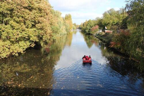 Bild 1 - Wasser, Wasser - vor der Tür!!Die SchwäneEnten - im Wasser - gehen am Ufer spazieren!