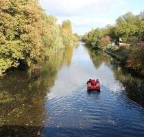 Wasser, Wasser - vor der Tür!!Die SchwäneEnten - im Wasser - gehen am Ufer spazieren! - Hamburg Winterhude