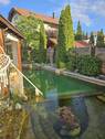 Schwimmteich 2.jpg - 