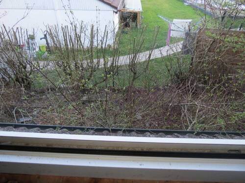 Garten - Einfamilienhaus mit 130,00 m² in Hengstfeld zum Kaufen