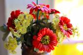 Hausflurimpression - 