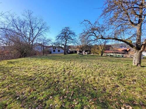 20260225_153724.jpg - Halle in Niederaula zum Kaufen