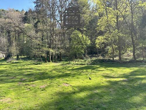 Bild 2 - Hotel, Pension, Gasthof zum Kaufen in Saarbrücken / Ensheim