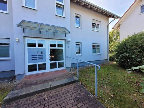 20250920_145651.jpg - 