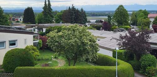 IMG-20250528-WA0005.jpg - 