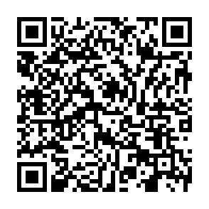 QR-Code - 
