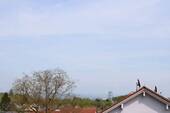 Bild 9 - 