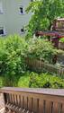 Blick von der Terrasse - 