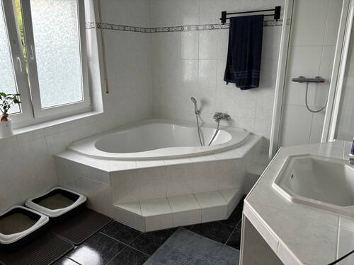 Teilansicht vom BAdezimmer im EG - 