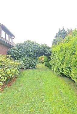 Grundstück - Garten - 