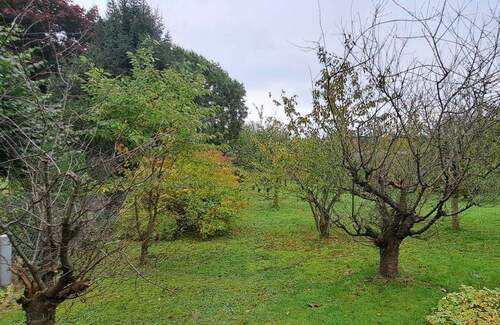 Grundstück Obstgarten - 