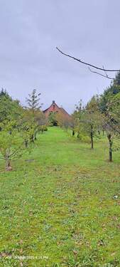 Blick vom Grundstücksende - 