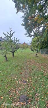 Blick vom Grundstücksende - 6 Zimmer Einfamilienhaus in Buxtehude