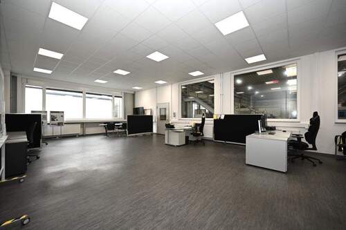 Das Großraum-Büro - 