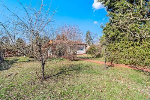 Gartenansicht vorne - 