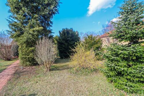 Gartenansicht vorne - 