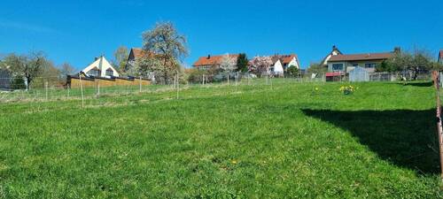 20250405_125642.jpg - Grundstück zum Kaufen in Schlaitdorf