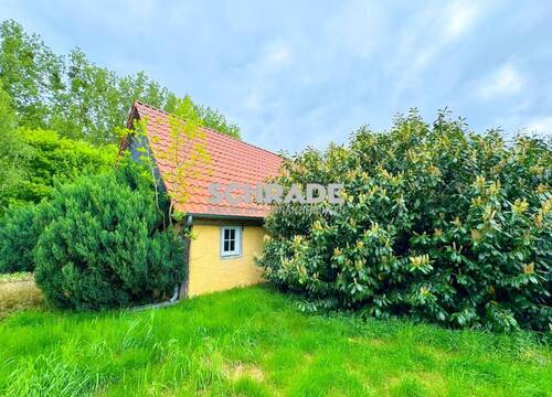 ...umgeben von gewachsener Natur - 4 Zimmer Einfamilienhaus zum Kaufen in Seehausen