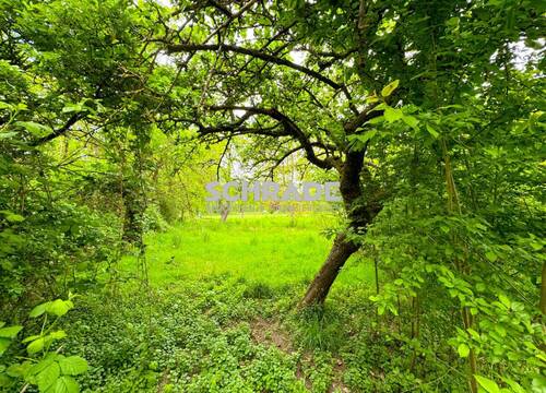 Obstgarten & Co inklusive - 4 Zimmer Einfamilienhaus in Seehausen