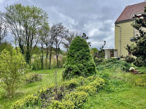 unterer Gartenbereich - 