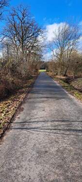 Straße vor dem Grundstück - 