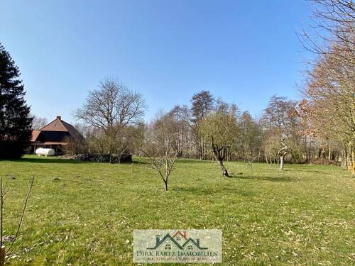 Garten mit Obstbaumbestand - 