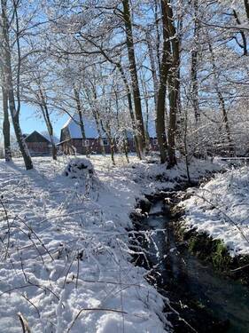 Bachlauf im Winter - 