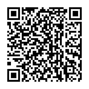 QR-Code - 1 Zimmer Hotel, Pension, Gasthof zum Kaufen in Willingen (Upland)