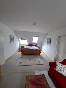 Zimmer DG - 