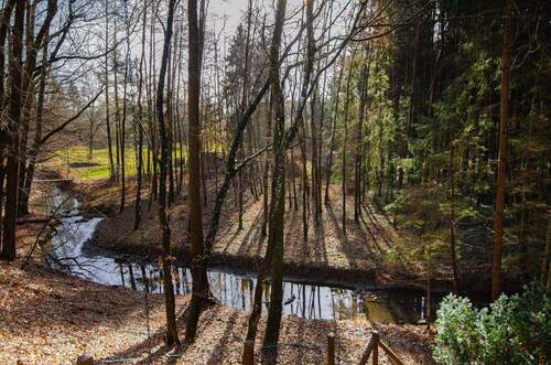 Bachlauf im südlichen Grundstücksbereich - 