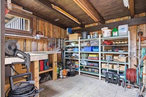 Schuppen - 