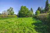 Garten_2 - 
