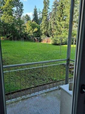 20240715_172838_resized.jpg - 