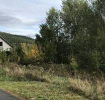 Feines kleines Grundstück mit Südausrichtung im Edertal in Bad Berleburg - Schwarzenau