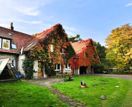 Gartenansicht - Einfamilienhaus zum Kaufen in Osterholz-Scharmbeck