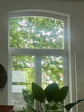 Blick aus dem Wohnbereich - 