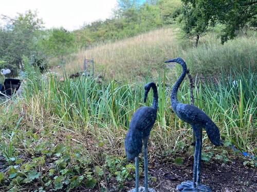 Gartenimpressionen 1 - 