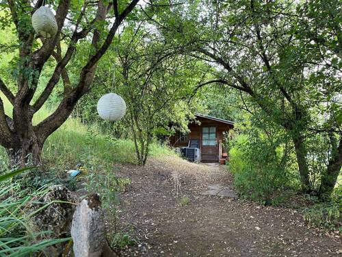 Gartenimpressionen 2 - 