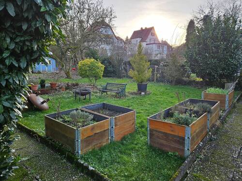 20250129_160125.jpg - 8 Zimmer Mehrfamilienhaus, Wohnhaus zum Kaufen in Bad Bergzabern